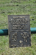 PLAQUE 141_LT9 Blagdons Meadow.jpg